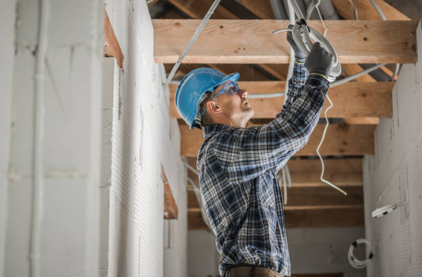 Best Outdoor Lighting Installation  in Worth, IL